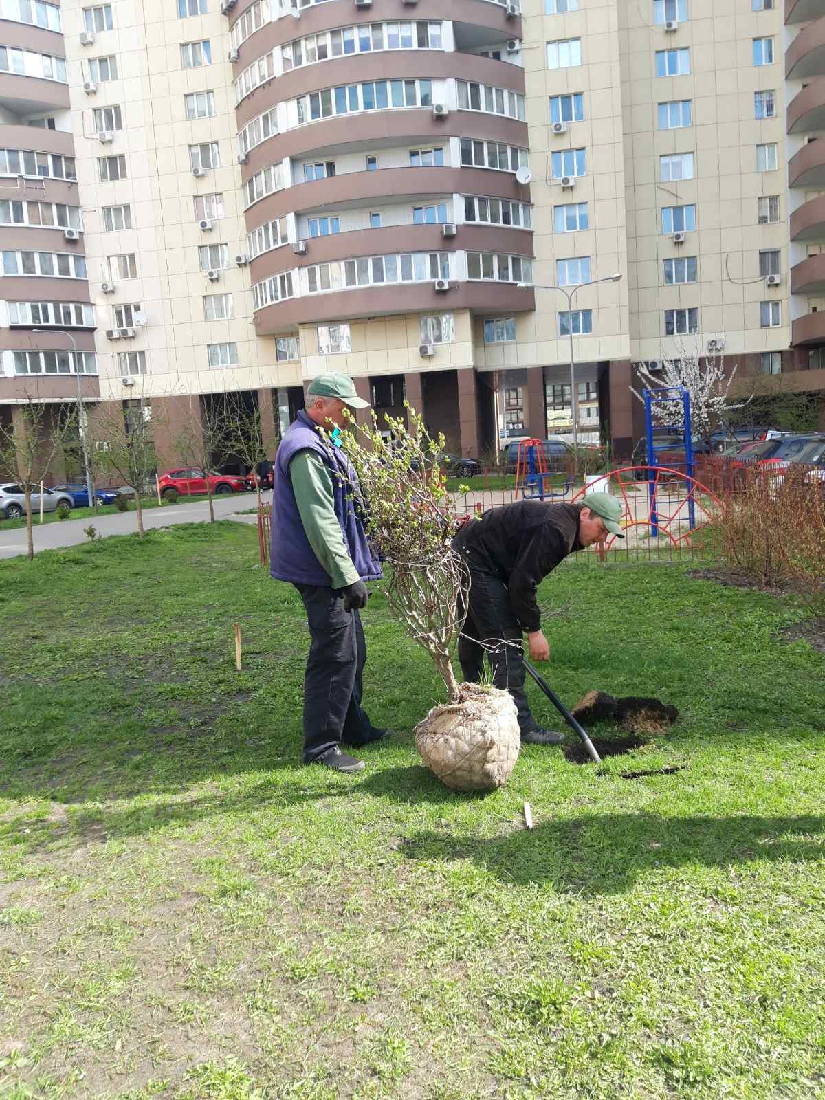 ТОВ «Явір-Житлобуд-2» здійснює озеленения прибудинкової території.